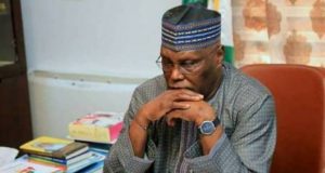 Presidential Election: ACF Urges Atiku To Concede Defeat