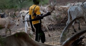 Farmer/Herdsmen Clash: Federal Government To Re-Construct Grazing Reserves