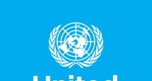 D.R. Congo: Violence May Be Crime Against Humanity-UN