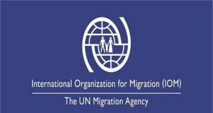 Body Parts Black Market: Iom Warns Nigerians To Beware Of Fake Foreign Agencies