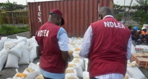 Narcotics: NDLEA In Kano Arrests Suspects With 2.927kg Cocaine