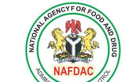 Drug Abuse: NAFDAC, NAWOJ Partner To Sensitise Borno Women, Youths