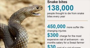 Snakebites: Who Seeks To Halve Killings, As Tens Of Thousands Die From Venom Each Year
