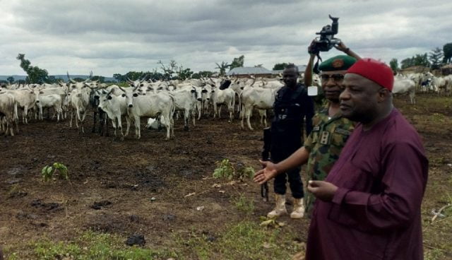 Cattle-rustling-in-Kaduna-June-2019