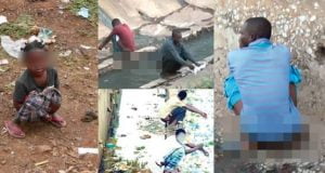 Open Defecation: UNICEF Partners FG To Tackle Practice