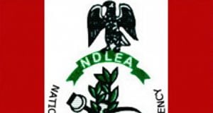 NDLEA Rejects Calls For Legalisation Of Cannabis Consumption