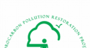 Ogoni-Land: FG Opens Fresh Contract Bid For Clean-Up