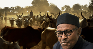 Buhari Shelves RUGA Programme