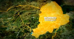 Boko Haram: Three Soldiers Killed As Troops Foil Attack On Borno Village