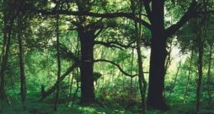 6 Lives Lost From 2018 To Date – Kaduna Chief Ranger