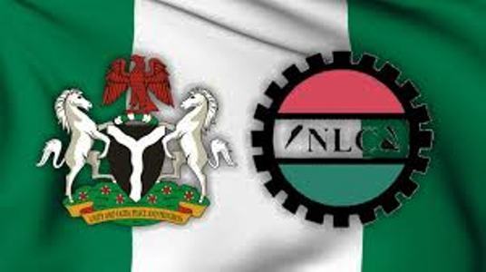 NLC-and-FG