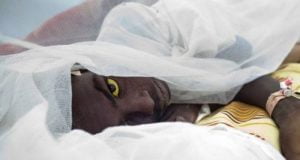 Yellow Fever: Outbreak Causes Deaths In Ebonyi Community