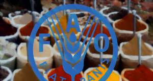 Food: Nigeria, 40 Other Countries Need External Assistance — FAO Food and Agriculture Organisation Of The United Nations, FAO