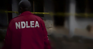 Substance Abuse: Stop Inhaling Latrine Stench, Gutter, NDLEA Warns Youths National Drug Law Enforcement Agency, NDLEA