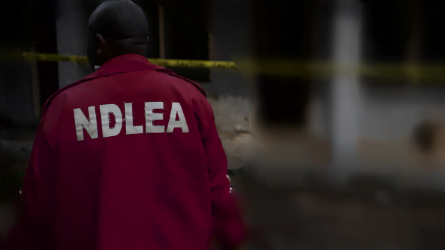National Drug Law Enforcement Agency, NDLEA