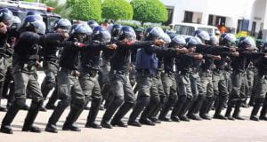 Community Policing: FG Assures Implementation Of Report NPF
