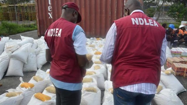 NDLEA Arrests 65 Suspects, Seizes 4582.57kg Of Narcotics In Edo State