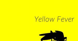 Yellow Fever: Death Toll Rises To 22 In Bauchi