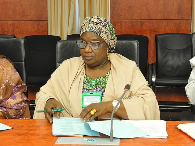 Hadiza Balarabe, Acting Governor Of Kaduna State