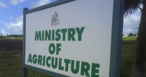 Agriculture: Federal Government Launches Committee To Oversee Projects