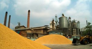 Imota Rice Mill To Be Ready June Next Year — LASG