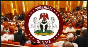 Immunity: Senate Seeks Removal For Vice President, Governors, Deputies