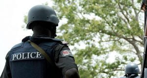 Police Record 42 Rape Cases In Kano Police Record 42 Rape Cases In Kano
