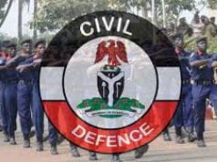 NSCDC: Gana Gets Six Months Tenure Extension As Commandant General
