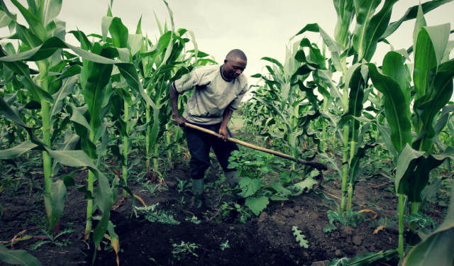 Food Security