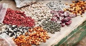 Agricultural Productivity: FG Releases 18 High Yielding Crop Varieties For Farmers