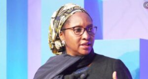 Economic Devt: Sale Of Govt Assets Will Benefit Nigerians, Boost Economy – Finance Minister