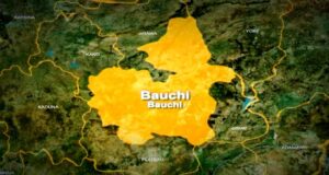 Bauchi: Six Die, Eight Injured In Auto Crash