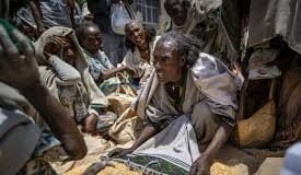 Conflict: Agency Alerts Emergency Food In Ethiopia’s Tigray Will Run Out Soon