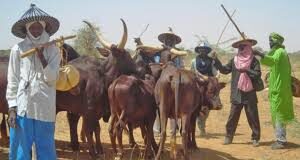 Taraba: Fulani Leaders Set Up Committees To Flush Out Criminals Among Them