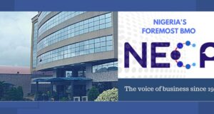 N35.5Trn Debt Unsustainable, Worrisome —NECA