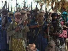 Counter Insurgency: Nigerian Troops Kill 42 Fleeing Armed Bandits In Niger