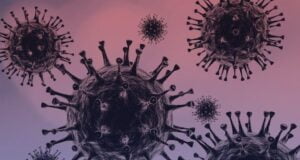 COVID-19 Update: Nigeria Records 582 New Cases, 11 More Deaths