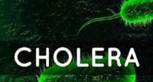 Niger: Cholera Epidemic Kills More Than 100 People