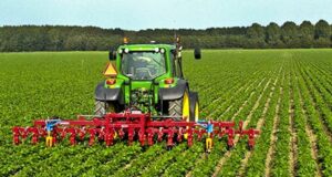 Food Security: President Buhari Approves 109 Integrated Farms Nationwide