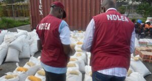 NDLEA Intercepts N7.35BN Codeine Consignments In Port Harcourt