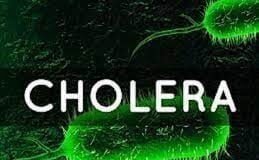 Cholera: NCDC Reports 46 New Deaths In One Week