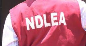Narcotics: NDLEA Arrests Pregnant Woman, Others For Drug Offences