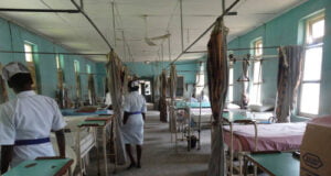 Healthcare: Agency Laments Over Inadequacy Of Personnel, Ambulances, Bane Of PHCs In Kaduna