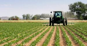 Lagos Govt Calls For More Investments In Agric Sector