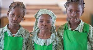 FG, NGOS Decry Violence, Harmful Practices Against Girl-Child In Spite Of Extant Laws