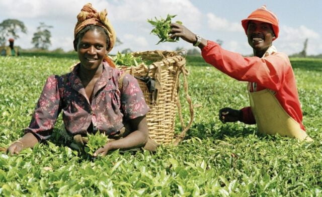 Agriculture