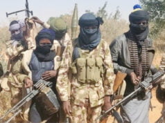 Bandits Attack Convoy, Abduct Scores On Kaduna-Birnin Gwari Highway