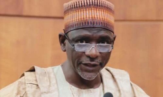 Education: FG Inaugurates Free E-Learning Website For All Levels