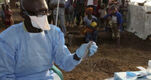 Lassa Fever: Nigeria Moves To Contain Rising Cases