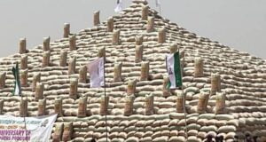 Live: Buhari Unveils Mega Rice Pyramids In Abuja